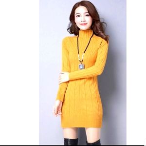 Turtle neck sweater dress